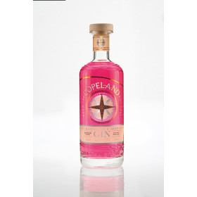 A bottle of Copeland Distillery Raspberry & Mint gin