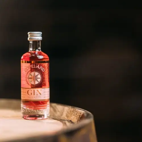 Rhuberry Pink Gin Mini
